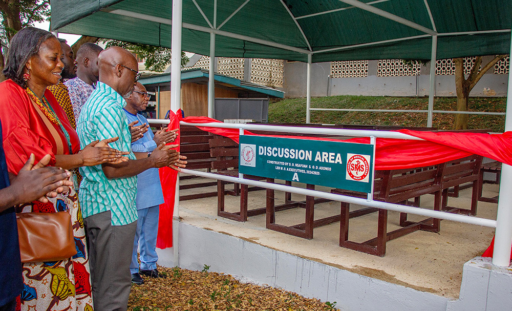 Commisioning of Discussion Area